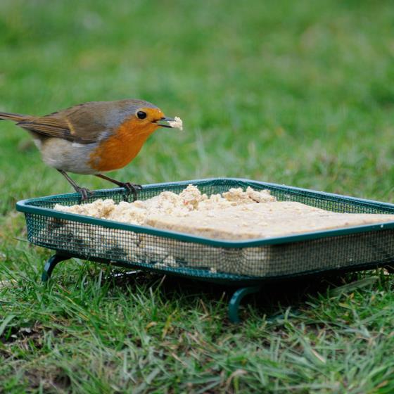 Gothic bird table & super suet cakes offer product photo Back View -  - additional image 2 L