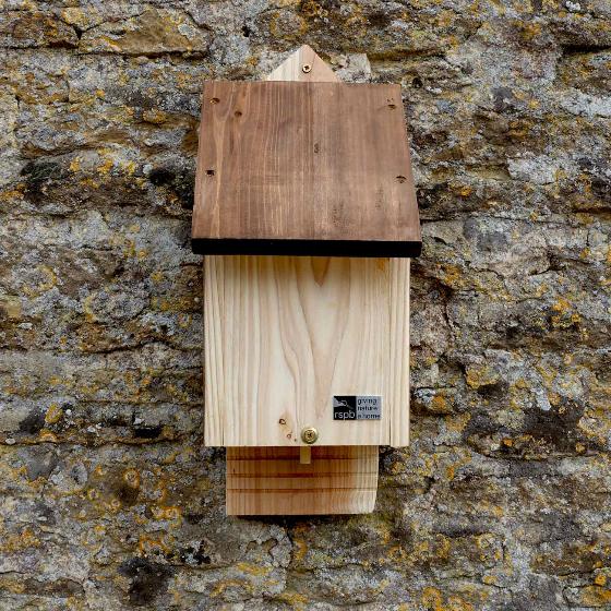 RSPB Single chamber bat box & seeds product photo Front View - additional image 1 L