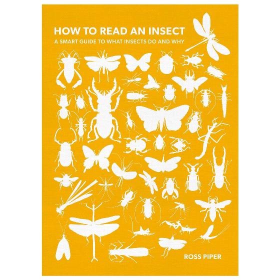 How to Read an Insect: A Smart Guide to What Insects Do and Why product photo Default L