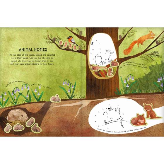 RSPB Woodland animals activity sticker book product photo Front View - additional image 1 L