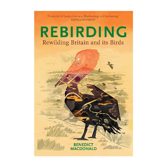 Rebirding - Rewilding Britain and its birds by B Macdonald (paperback) product photo Default L