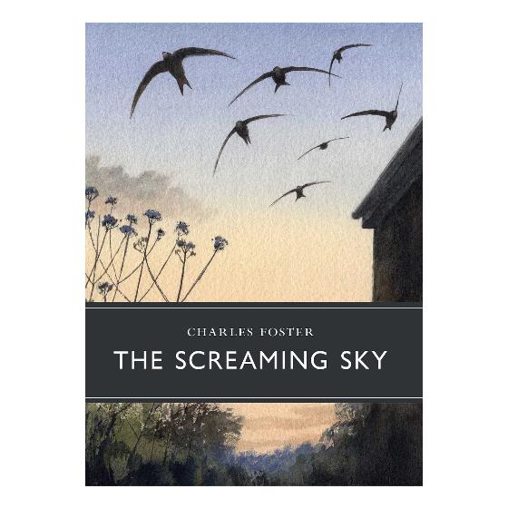 The Screaming Sky product photo Default L