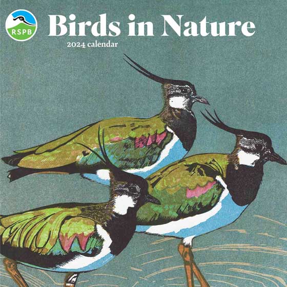 Birds in Nature Linocut Calendar 2024 | RSPB Shop