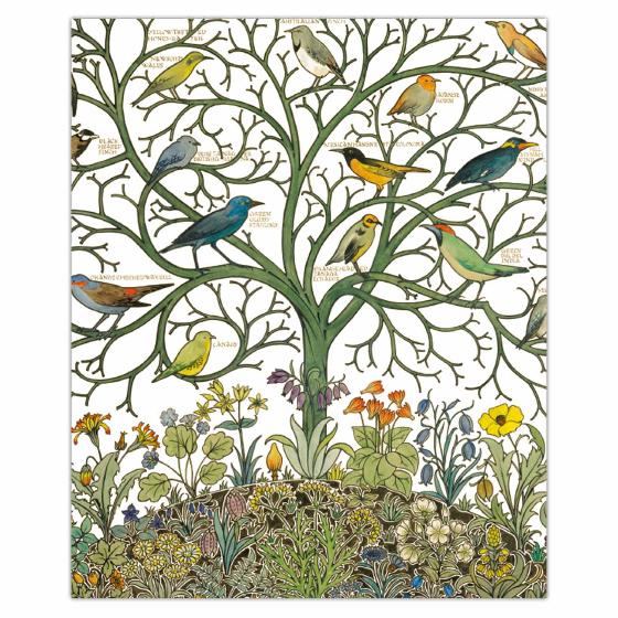 Birds of many climes greetings card product photo Default L