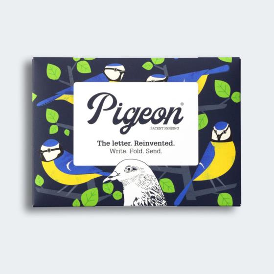 Eco-friendly stationery - 6 pack of Dawn chorus Pigeon letter papers product photo