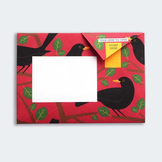 Eco-friendly stationery - 6 pack of Dawn chorus Pigeon letter papers product photo Front View - additional image 1 L