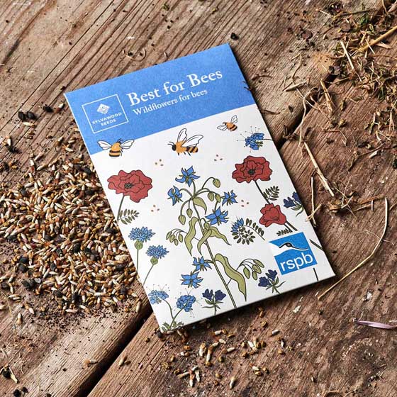 Dewdrop bee biome with wildflower seeds product photo Back View -  - additional image 2 L