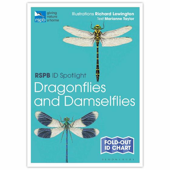 Dragonflies and damselflies identifier chart RSPB ID Spotlight series