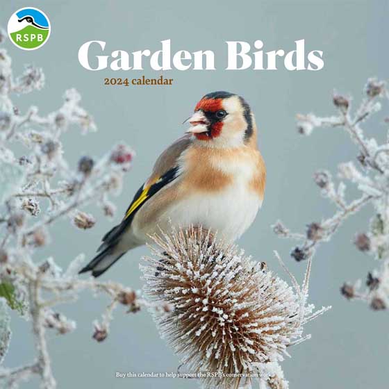 RSPB Garden Birds Calendar 2024 RSPB Shop