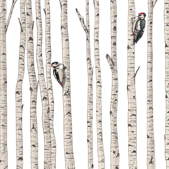 Woodpeckers in a birch forest card product photo Default L