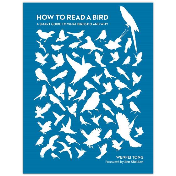 How to Read a Bird: A smart guide to what birds do and why product photo Default L
