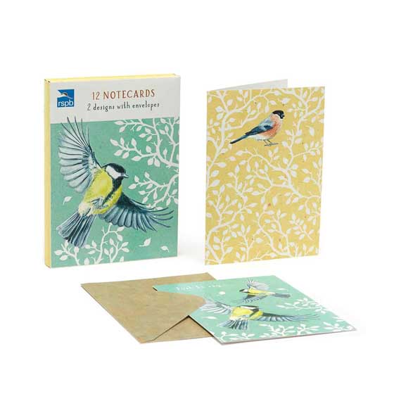 In the wild great tit & bullfinch bird notecards pack product photo Side View -  - additional image 3 L