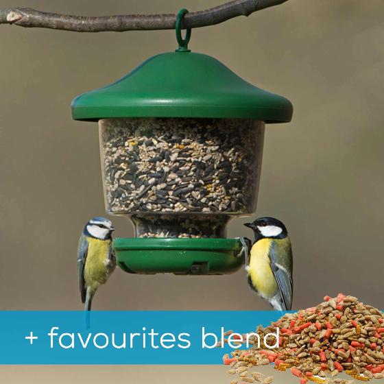 My favourite's feeder & favourites blend bird food product photo Default L
