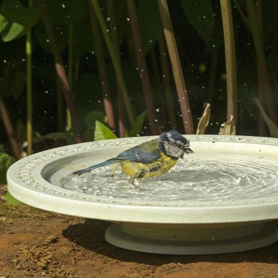 Nature Oasis bird bath & drinker product photo Side View -  - additional image 3 L