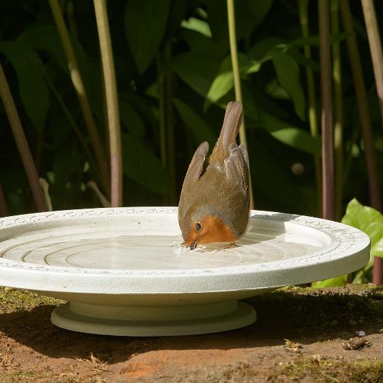 Nature Oasis bird bath & drinker product photo Back View -  - additional image 2 L