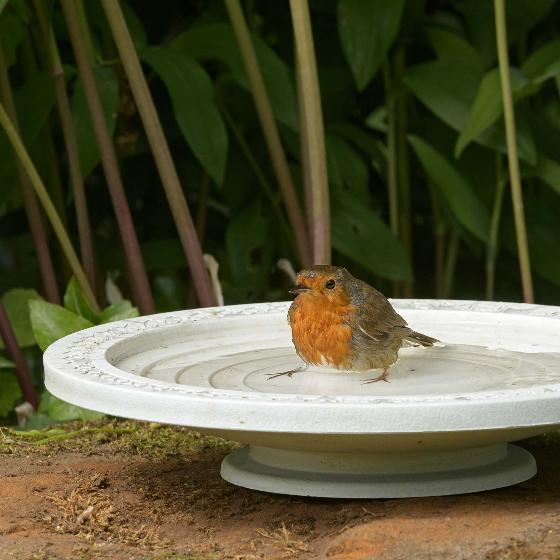Nature Oasis bird bath & drinker product photo Front View - additional image 1 L