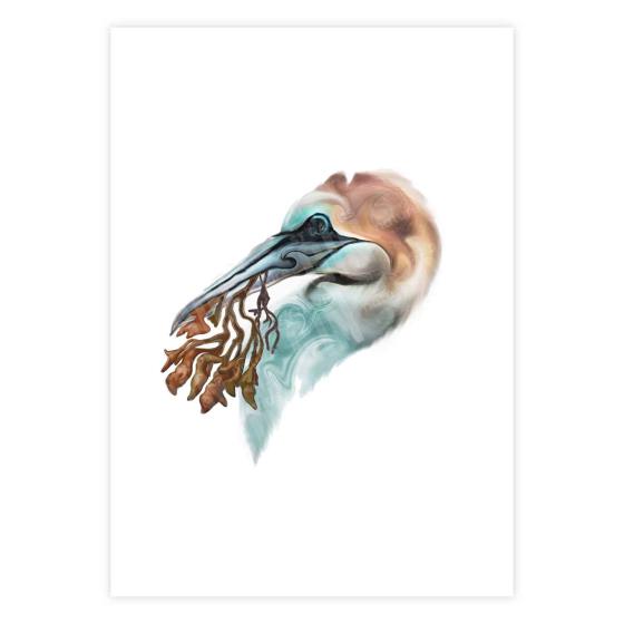 Nesting gannet mounted art print product photo Default L