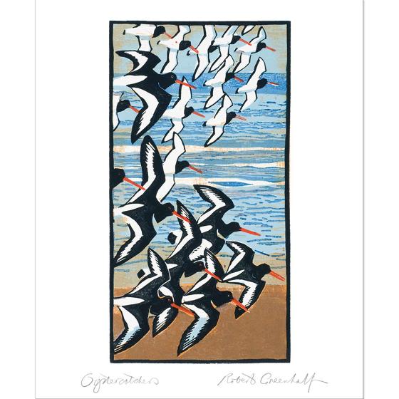Oystercatchers by Robert Greenhalf greetings card product photo Default L