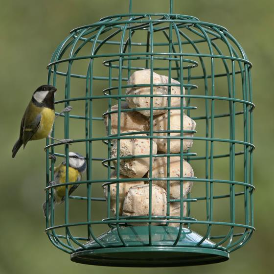 RSPB Suet feeder and guardian product photo Default L