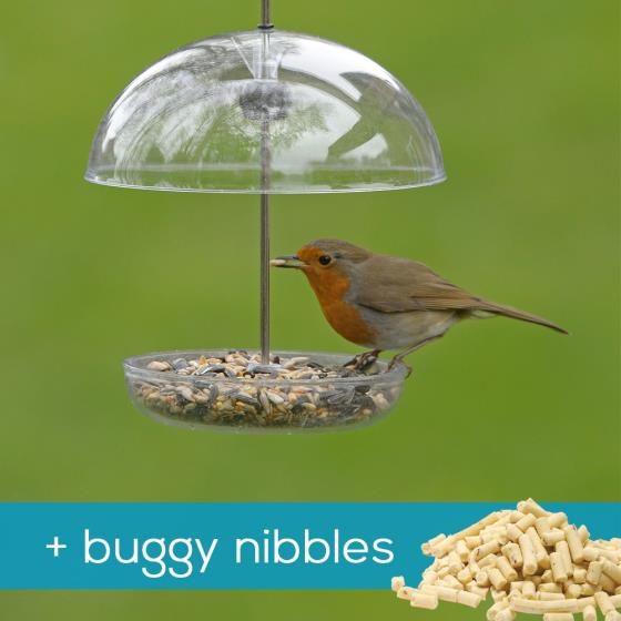 I Love Robins Feeder Buggy Nibbles Rspb Shop