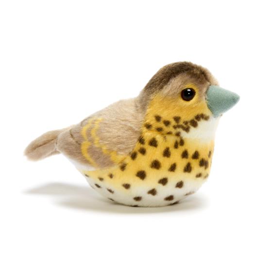 RSPB singing song thrush soft toy product photo Default L