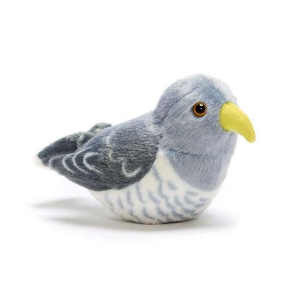 Cuckoo Cuckoo Bird