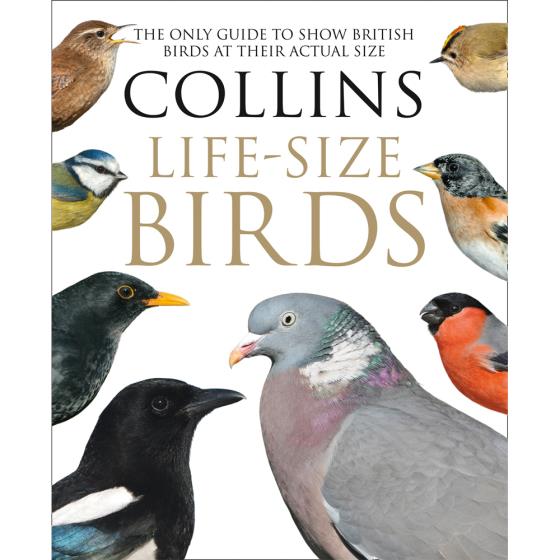 Collins life size birds product photo Default L