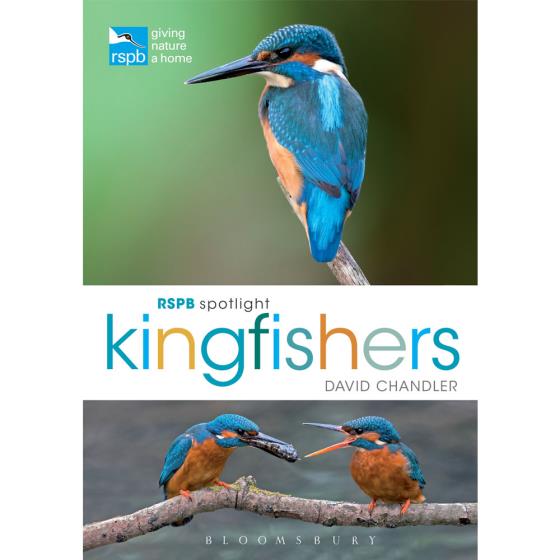 RSPB Spotlight kingfishers product photo Default L
