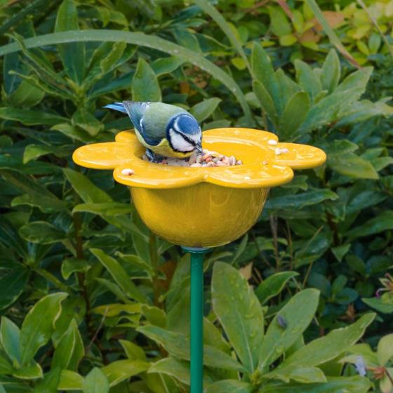 Ceramic Bird Feeder Yellow Petal Ceramic Feeder Rspb Shop