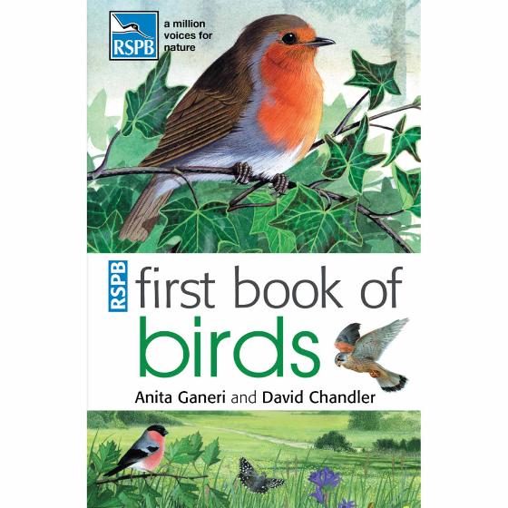 RSPB First book of birds product photo