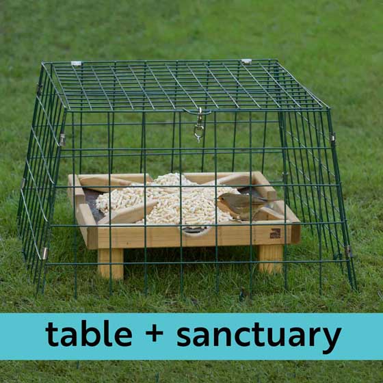 rspb ground feeding table