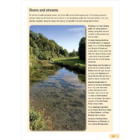 RSPB Guide to Birdsong by Adrian Thomas product photo Back View -  - additional image 2 L