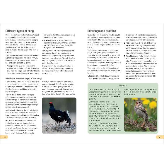 RSPB Guide to Birdsong by Adrian Thomas product photo additional image 6 L