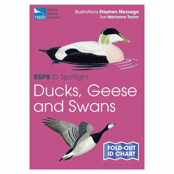 RSPB ID Spotlight - Identify ducks, geese and swans product photo Default L