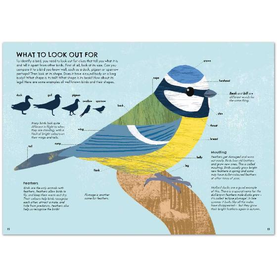 RSPB Nature Guide: Birds product photo Side View -  - additional image 3 L