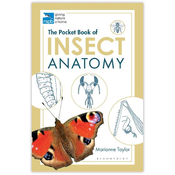RSPB Pocket book of insect anatomy product photo Default L