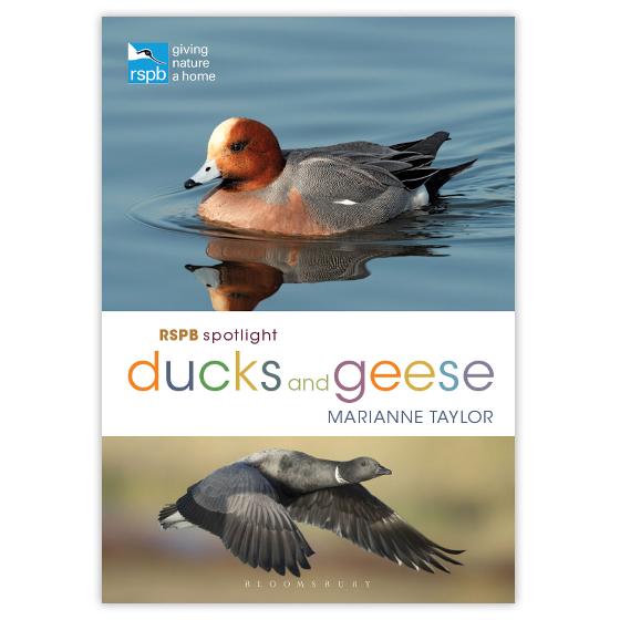 RSPB Spotlight Ducks and Geese product photo