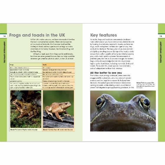 RSPB Spotlight Frogs and Toads product photo Side View -  - additional image 3 L