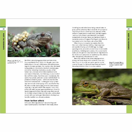 RSPB Spotlight Frogs and Toads product photo Back View -  - additional image 2 L