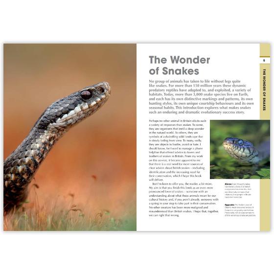 RSPB Spotlight snakes product photo Side View -  - additional image 3 L