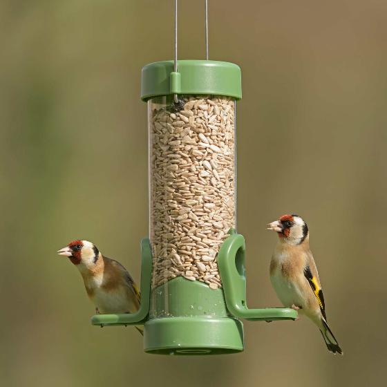Classic easy-clean small seed feeder with 1.8kg sunflower hearts product photo Front View - additional image 1 L