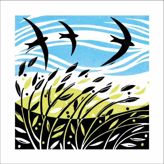 Swooping Swifts greeting card product photo Default L