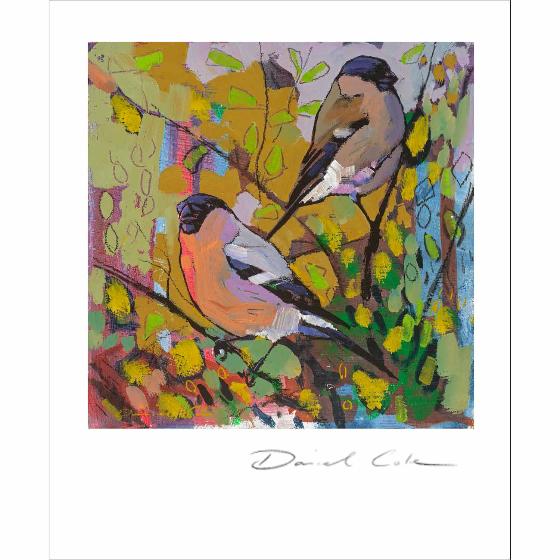 The bullfinches by Daniel Cole card product photo Default L
