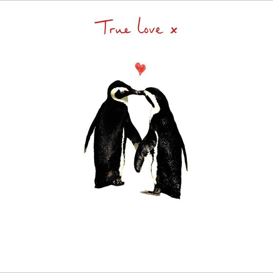True love penguins Valentine's Day card product photo Default L