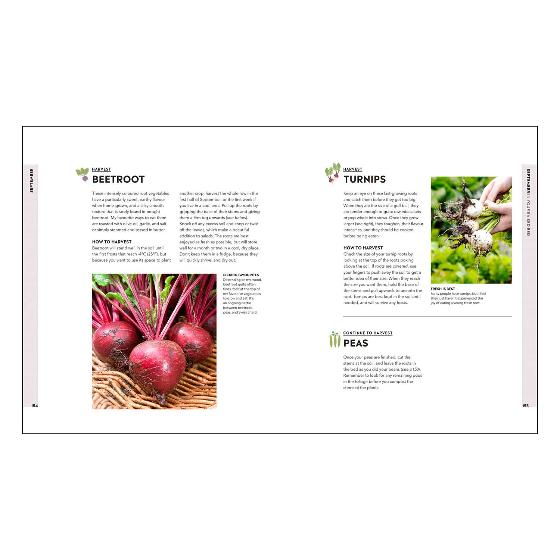 Veg in One Bed ...Month by Month product photo Back View -  - additional image 2 L