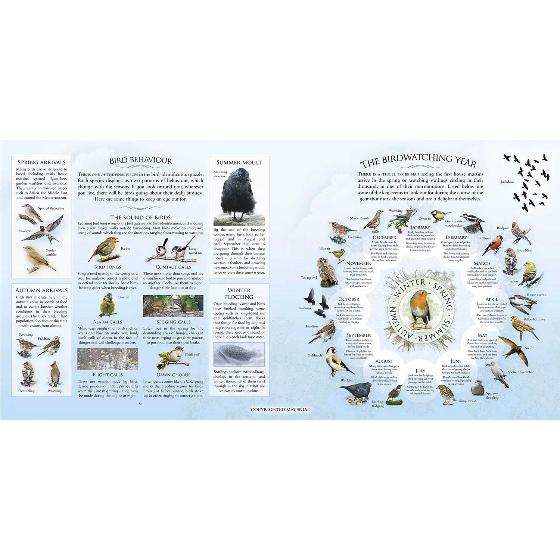 What’s that garden bird?: Birdspotting Wheel and Guide Book product photo Back View -  - additional image 2 L