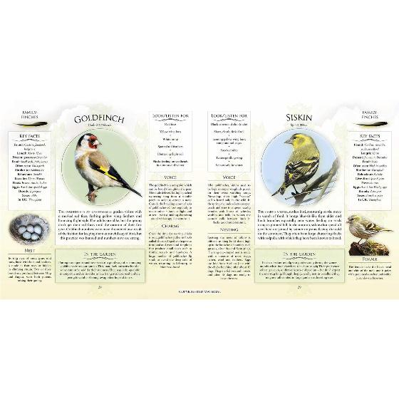 What’s that garden bird?: Birdspotting Wheel and Guide Book product photo Front View - additional image 1 L