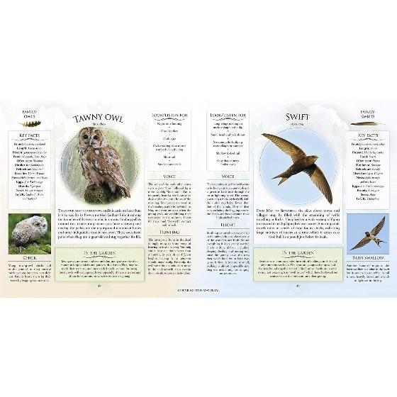 What’s that garden bird?: Birdspotting Wheel and Guide Book product photo additional image 5 L
