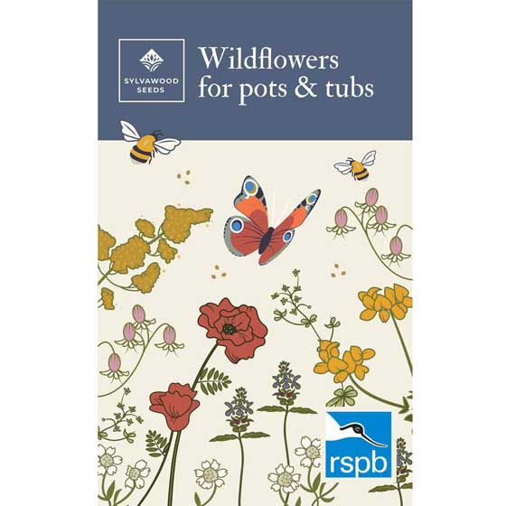 Wildflowers seeds for pots seed pack product photo