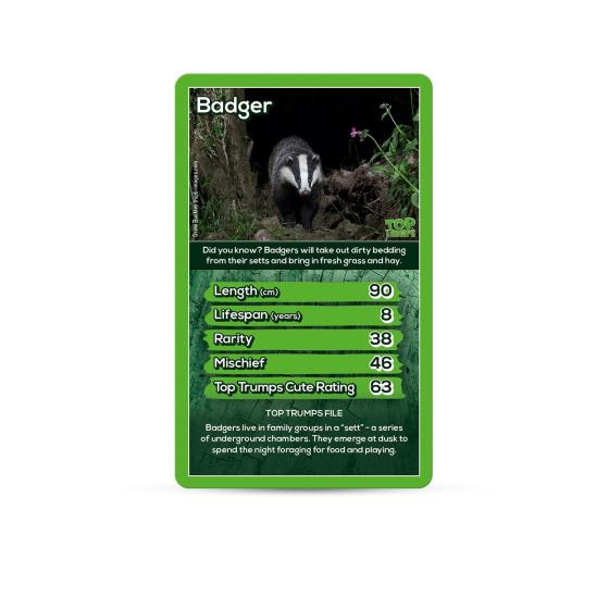 RSPB Woodland Animals Top Trumps product photo Front View - additional image 1 L